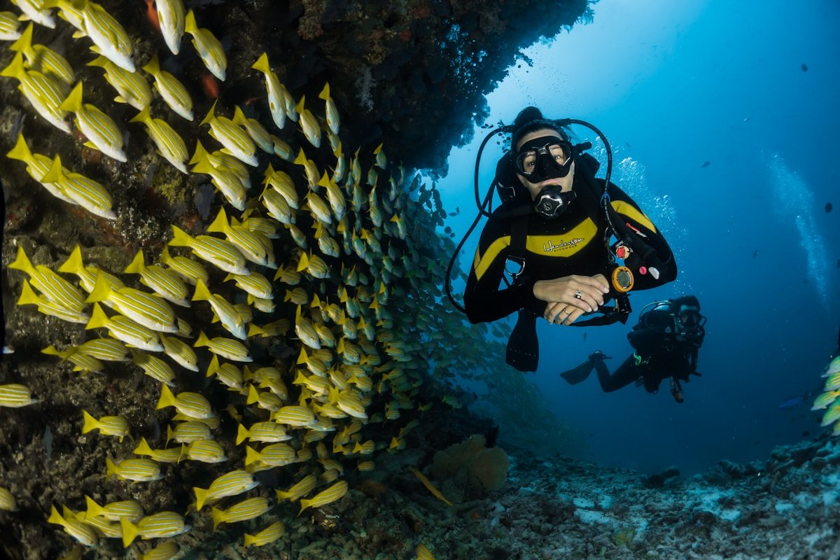Snorkeling di Gili Trawangan: Bertemu Penyu dan Terumbu Karang
